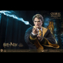 CEDRIC DIGGORY
